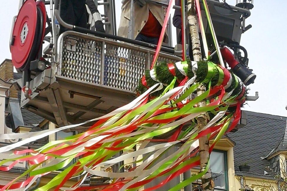 38E24B28-6D27-4104-B8FB-FC073B5B7D4B Maibaum auf dem Marktplatz